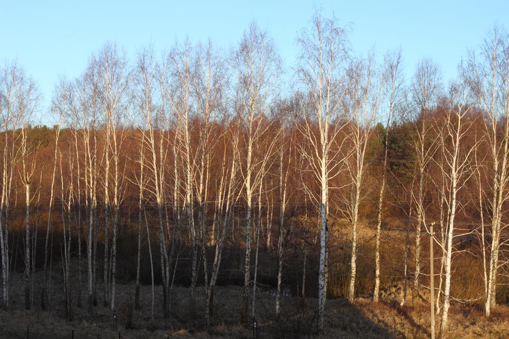 Forest Apartment Паланга Екстериор снимка